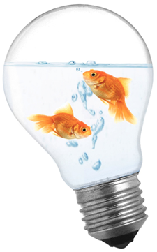 The Secrets of Innovation